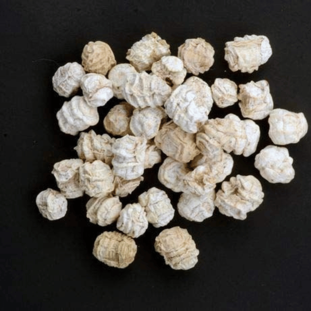 काचरा (Cucumis callosus) - Image 2