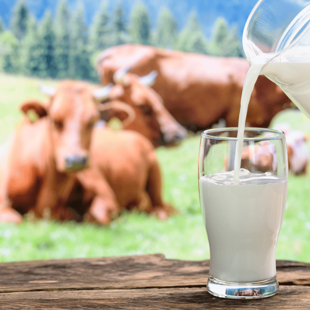 दूध (Milk) - Image 2