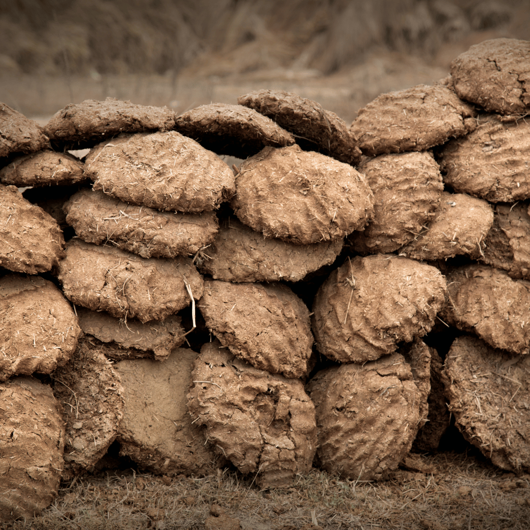 उपला (Cow Dung Cakes) - Image 2