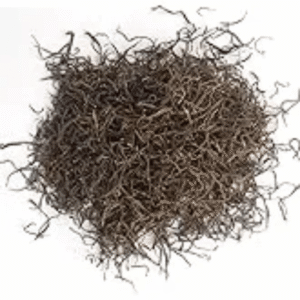 सांगरी (Prosopis cineraria pods)